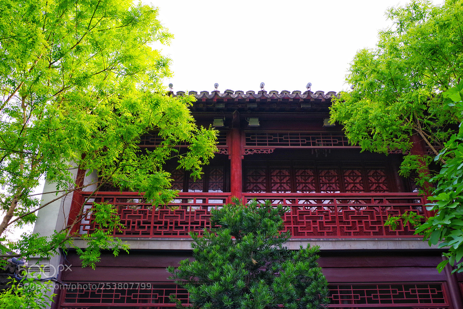 Pentax K-1 sample photo. Untitled photography
