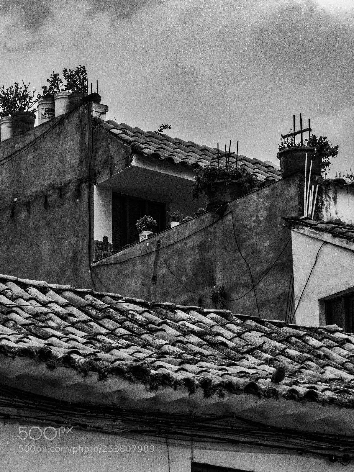 Nikon Coolpix B700 sample photo. Cusco last day nkn photography