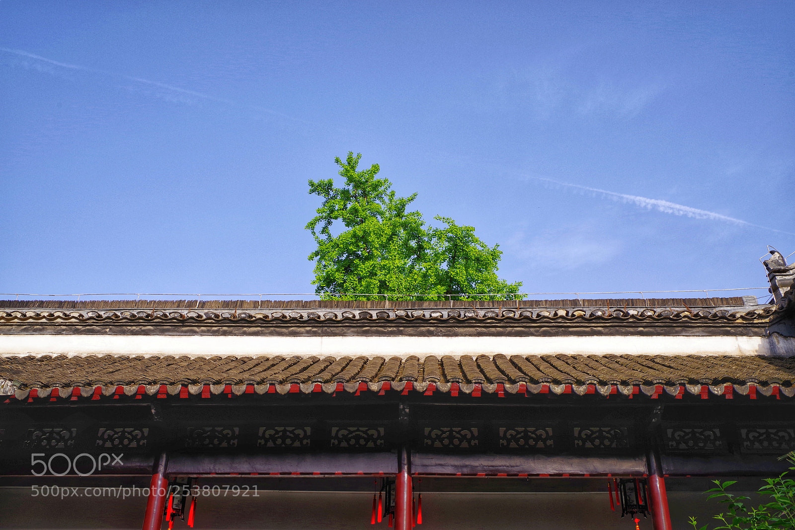 Pentax K-1 sample photo. Untitled photography