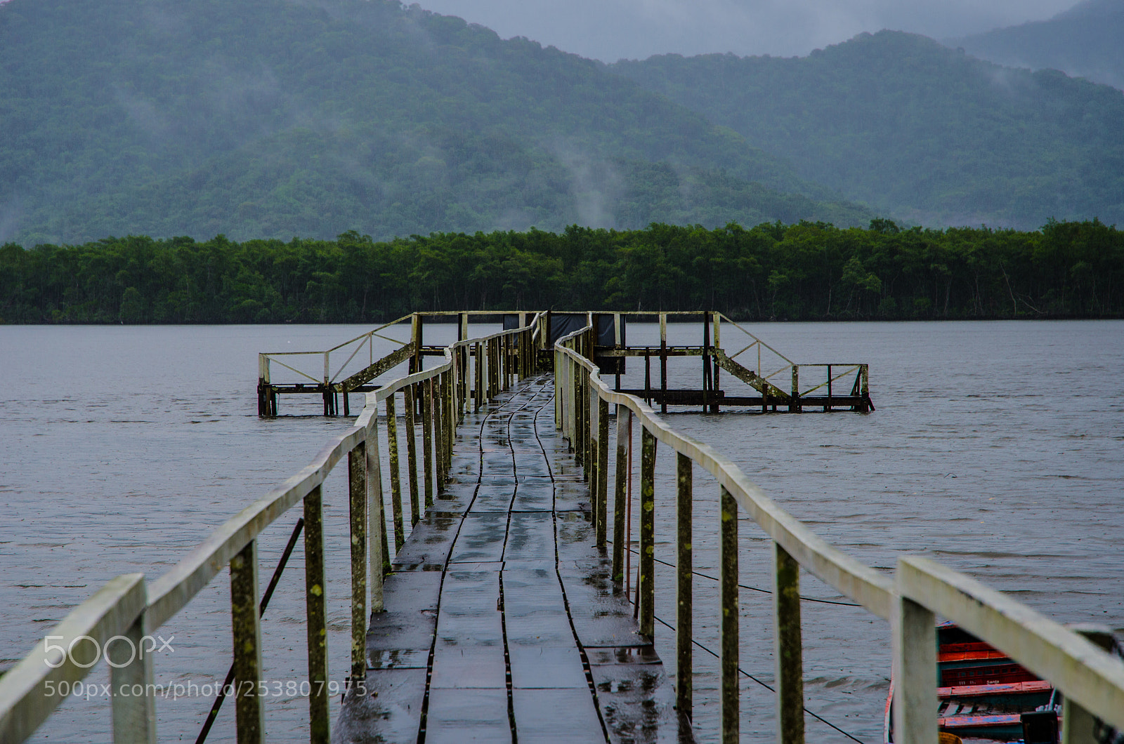 Nikon D7000 sample photo. Bridge photography
