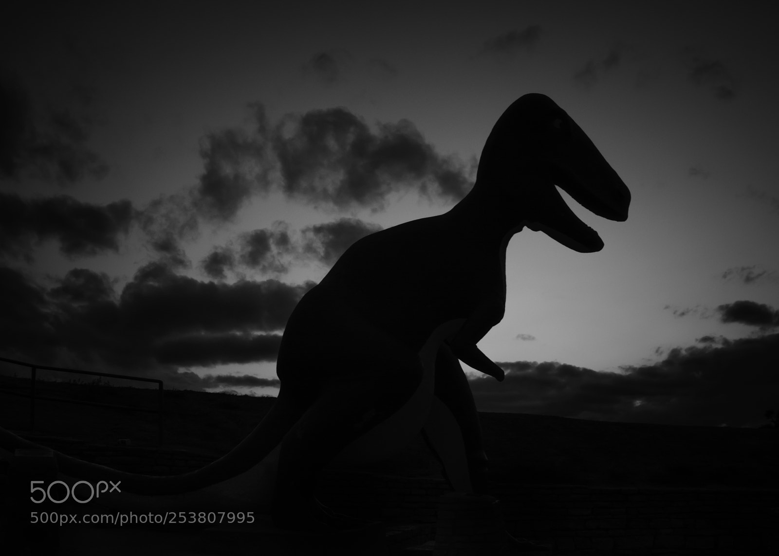 Nikon D7100 sample photo. Sunset silhouette, dinosaur park photography
