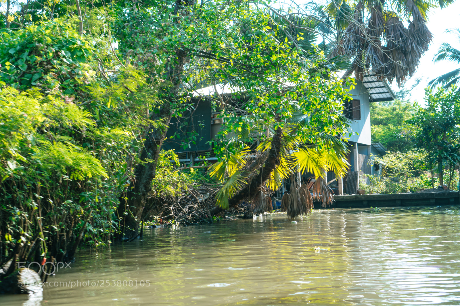 Sony a6300 sample photo. Jungle house photography
