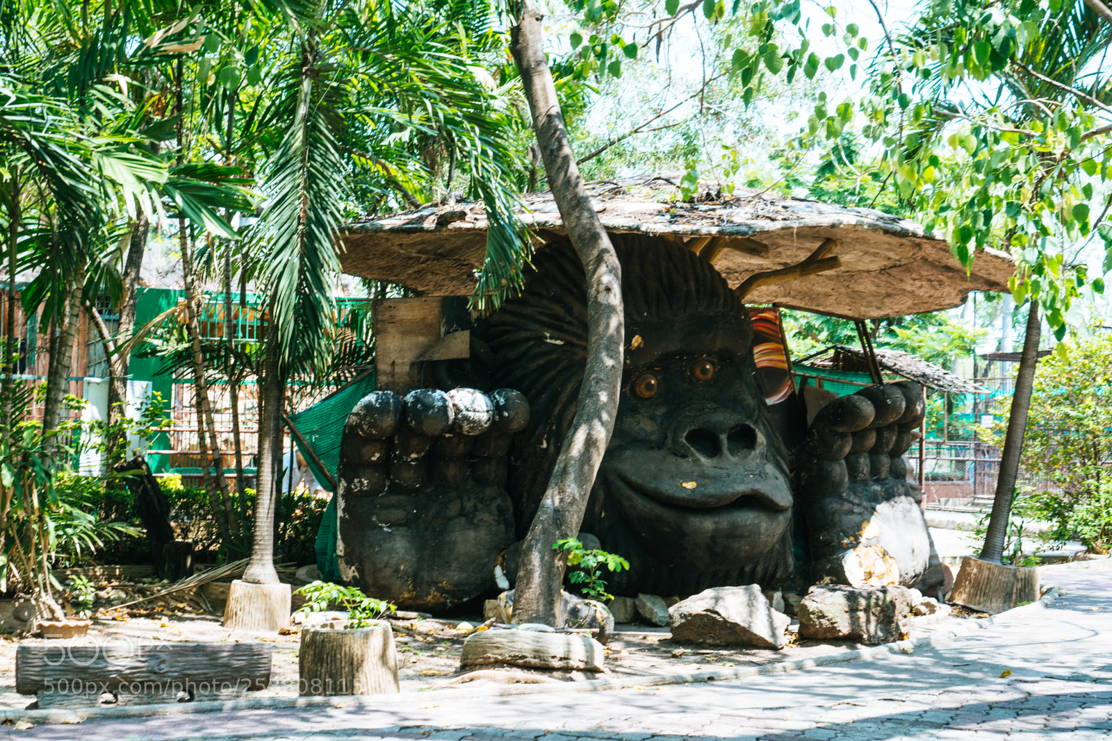 Sony a6300 sample photo. Kong photography