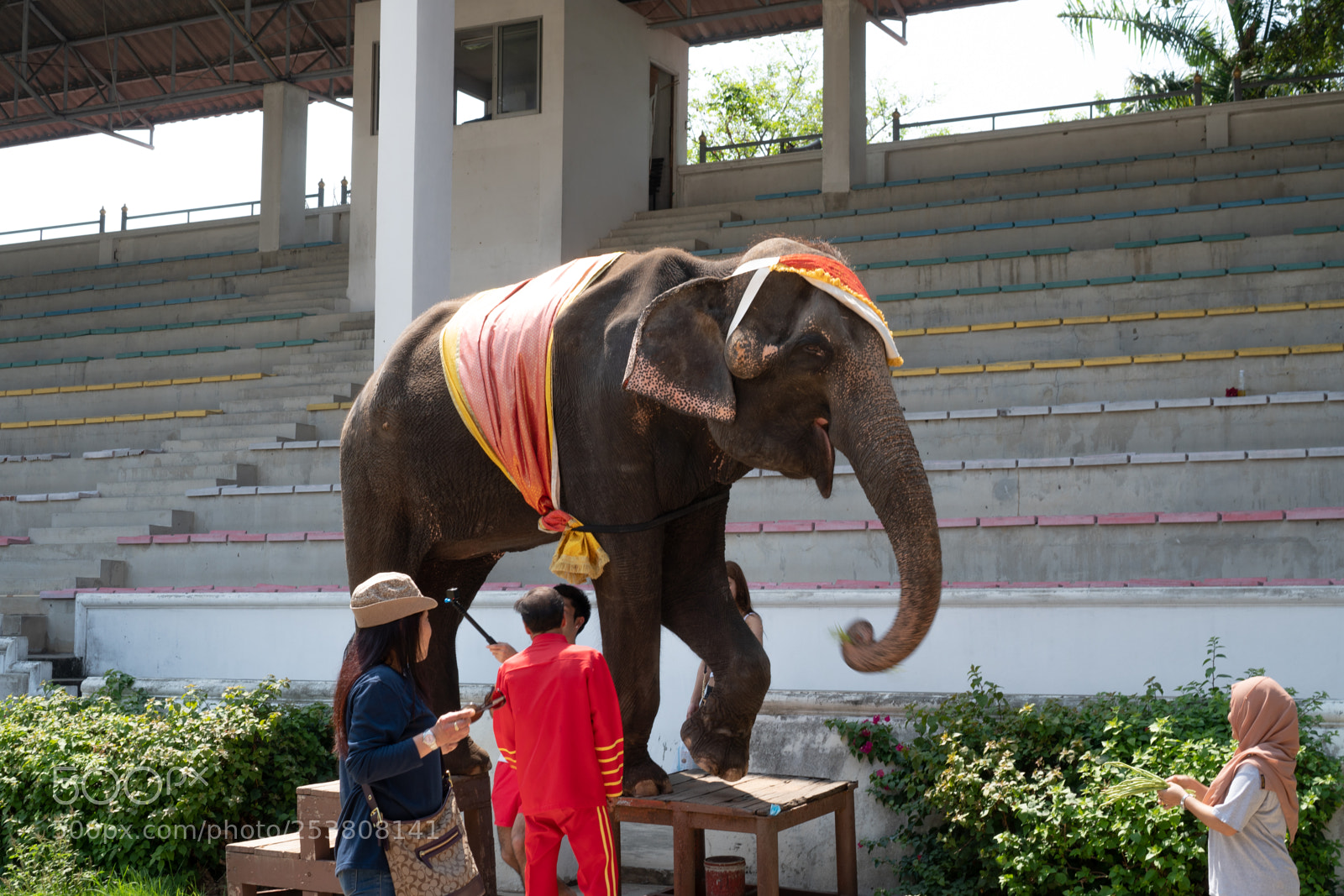 Sony a6300 sample photo. Laughing photography