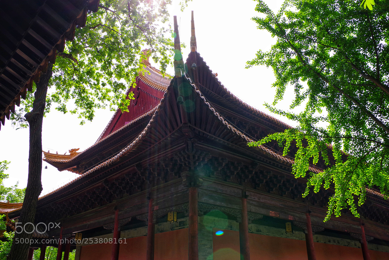 Pentax K-1 sample photo. Untitled photography