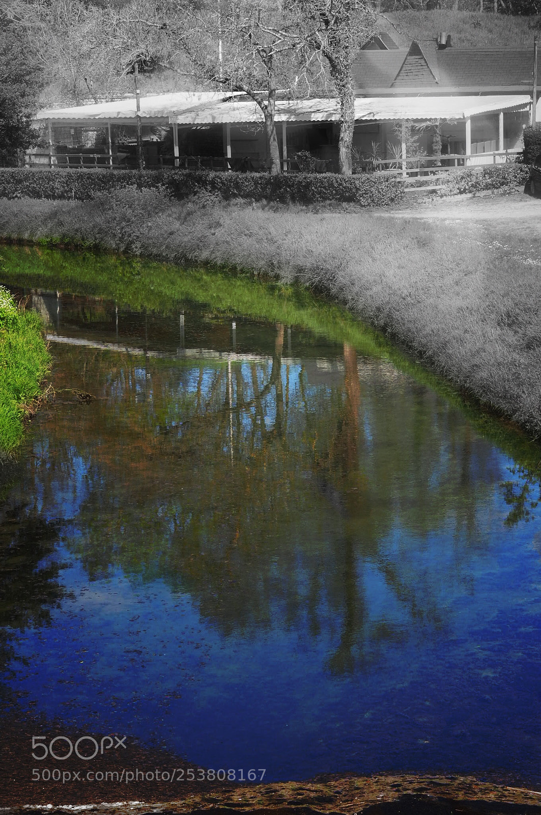 Olympus OM-D E-M10 II sample photo. Reflection photography