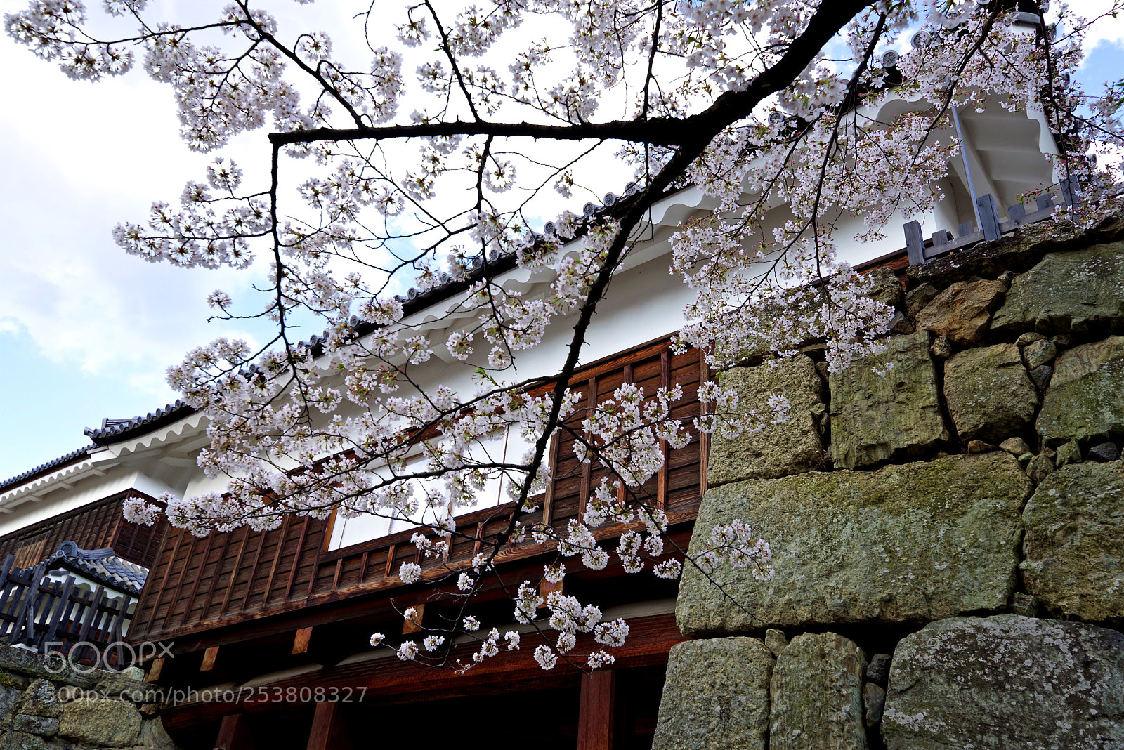 Pentax K-1 sample photo. Ueda castle photography