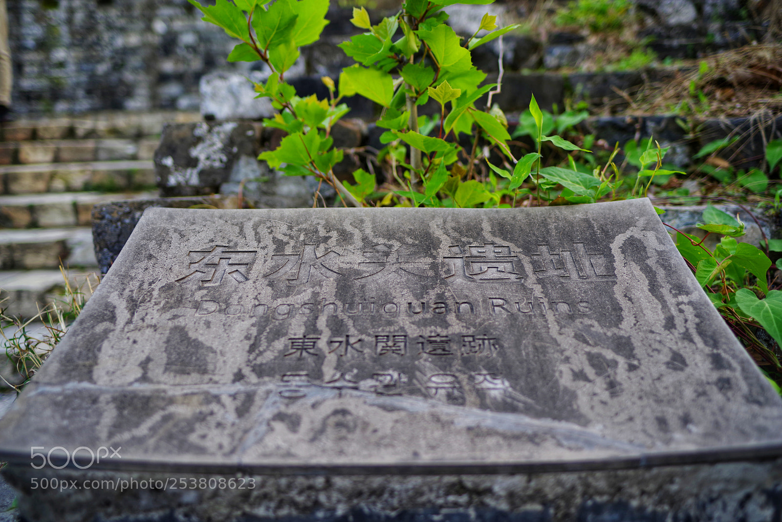 Pentax K-1 sample photo. Untitled photography