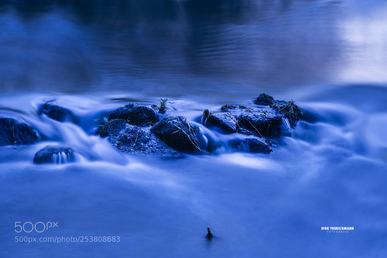 Nikon D810 sample photo. Alter arm | creek photography