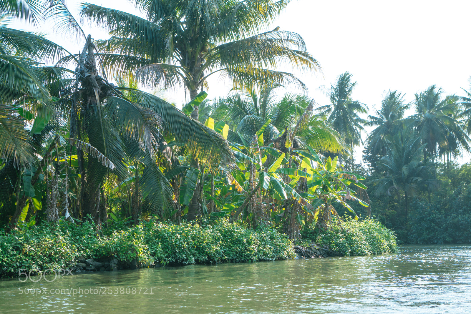 Sony a6300 sample photo. Rivers edge photography