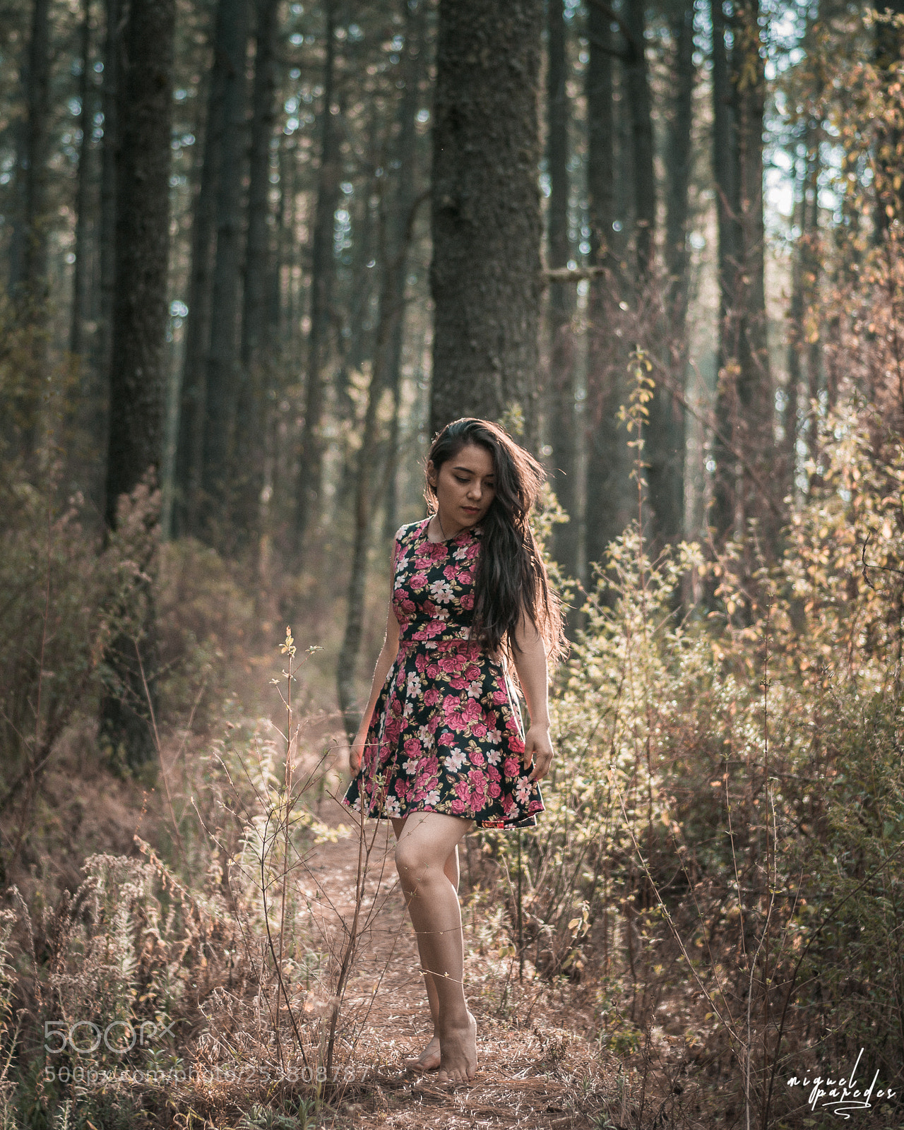 Nikon D7100 sample photo. Ritmo de la naturaleza photography