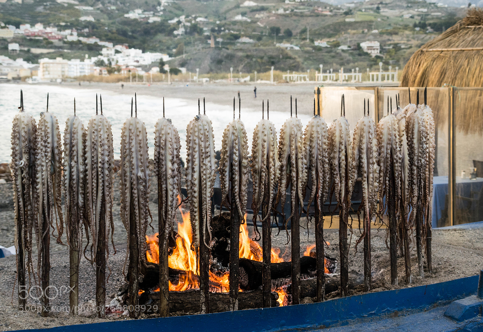 Nikon D5300 sample photo. Pulpo a la brasa photography
