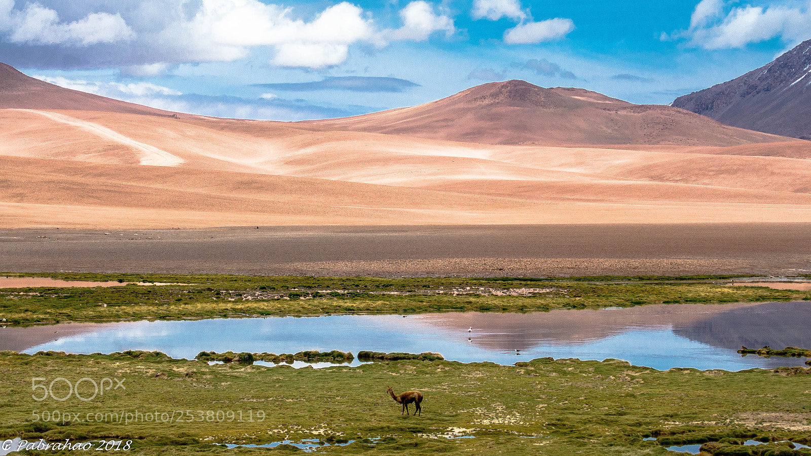 Sony SLT-A57 sample photo. Salar de tara photography