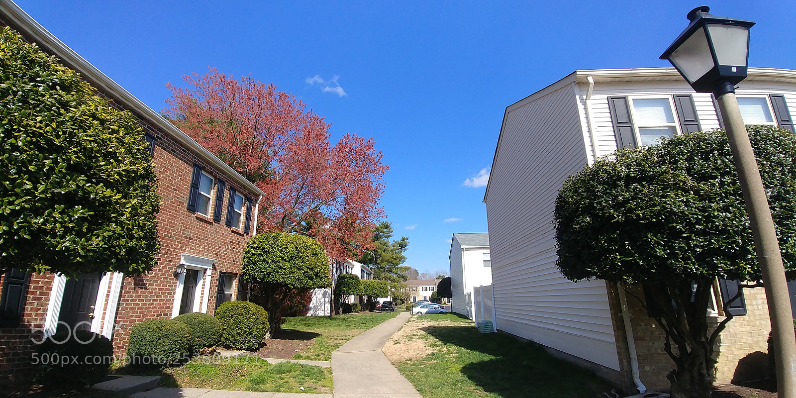 LG G6 sample photo. Sunny day photography