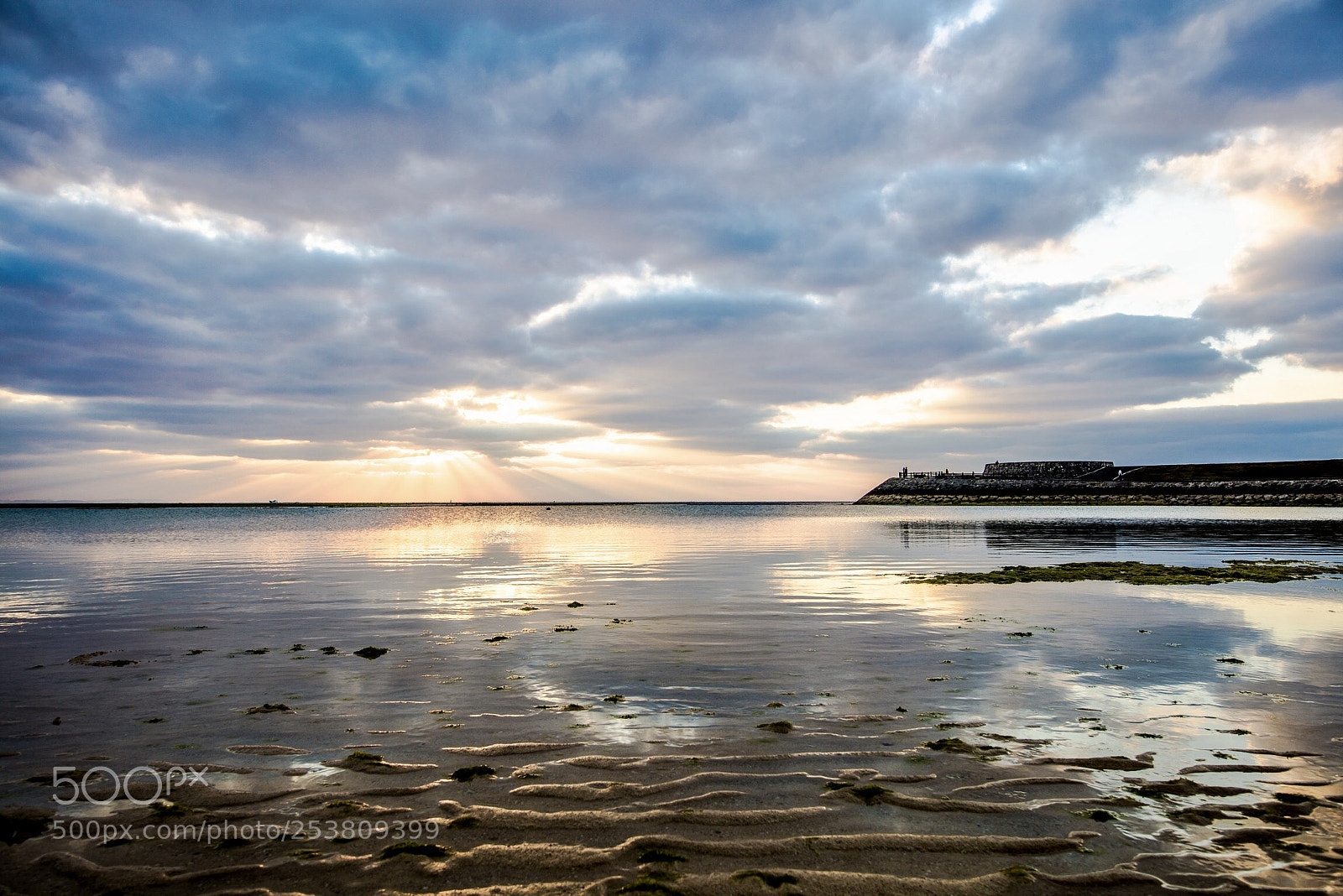 Canon EOS 5DS sample photo. Untitled photography