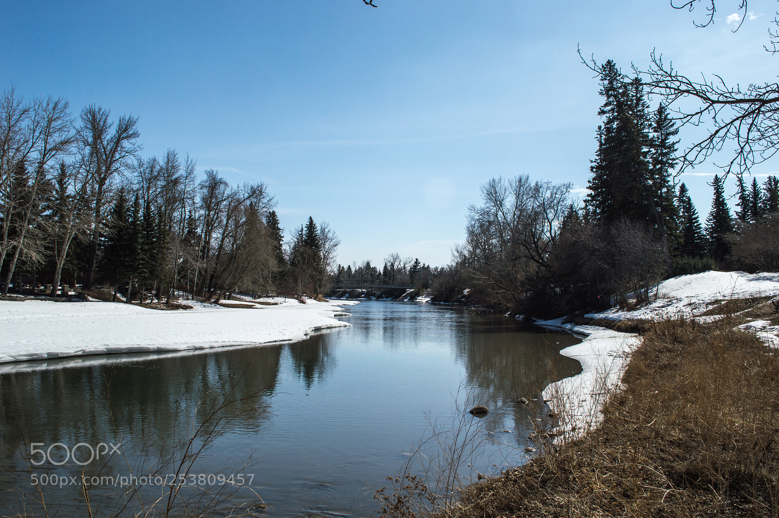 Nikon D3200 sample photo. Spring i photography