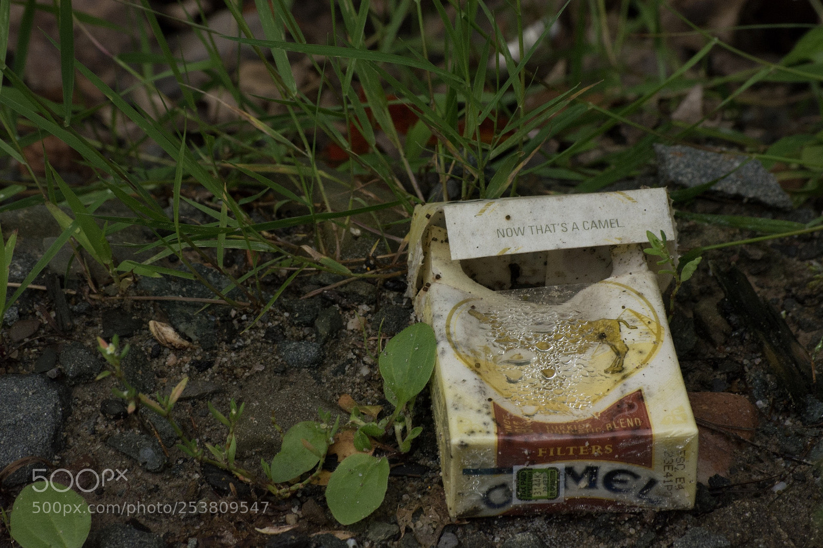 Nikon D5200 sample photo. Untitled photography