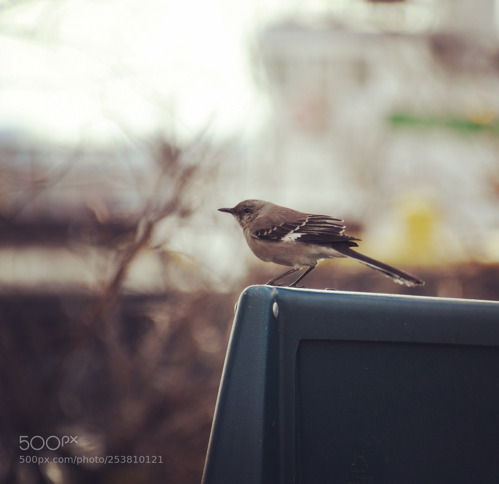 Nikon D7500 sample photo. Untitled photography