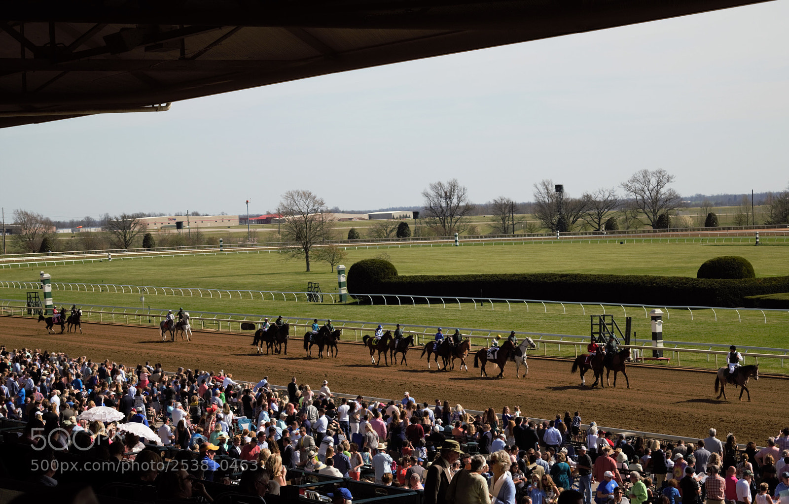 Nikon D3300 sample photo. Keeneland races in lexington photography