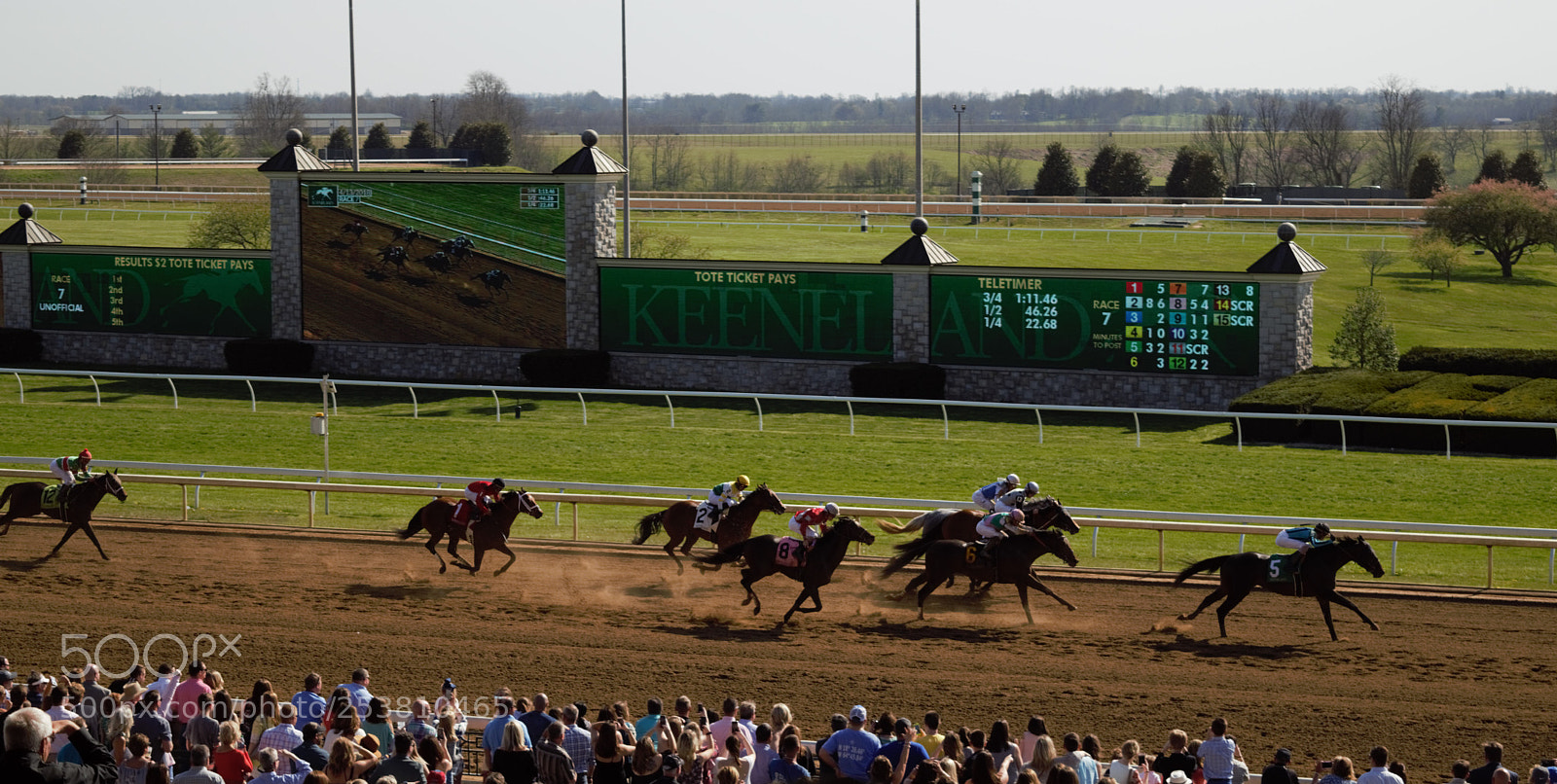 Nikon D3300 sample photo. Keeneland races in lexington photography