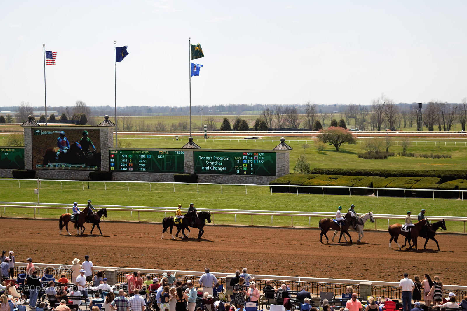 Nikon D3300 sample photo. Keeneland races in lexington photography