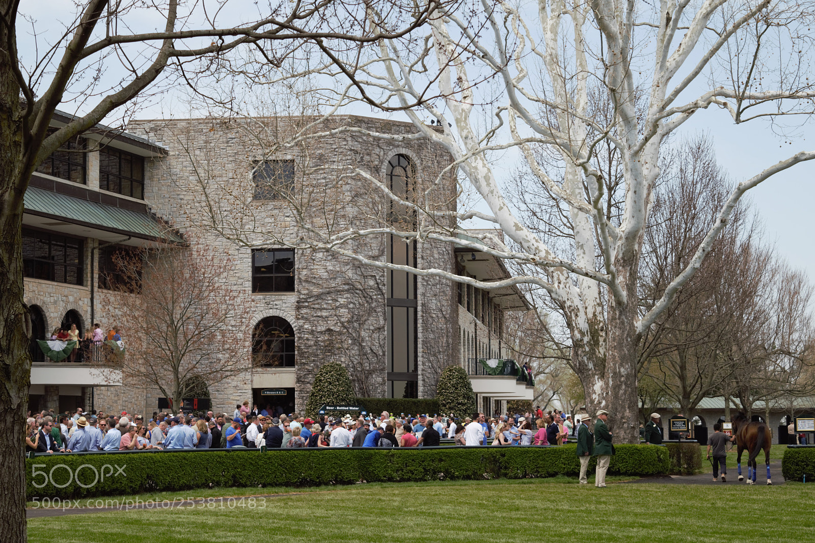 Nikon D3300 sample photo. Keeneland races in lexington photography
