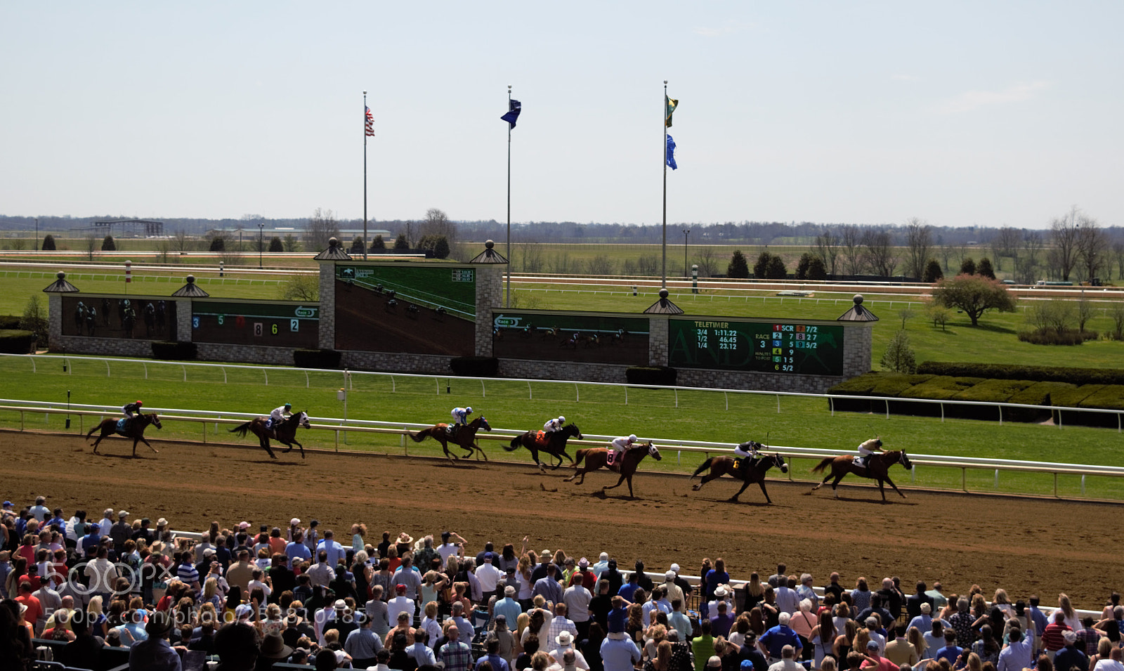 Nikon D3300 sample photo. Keeneland races in lexington photography