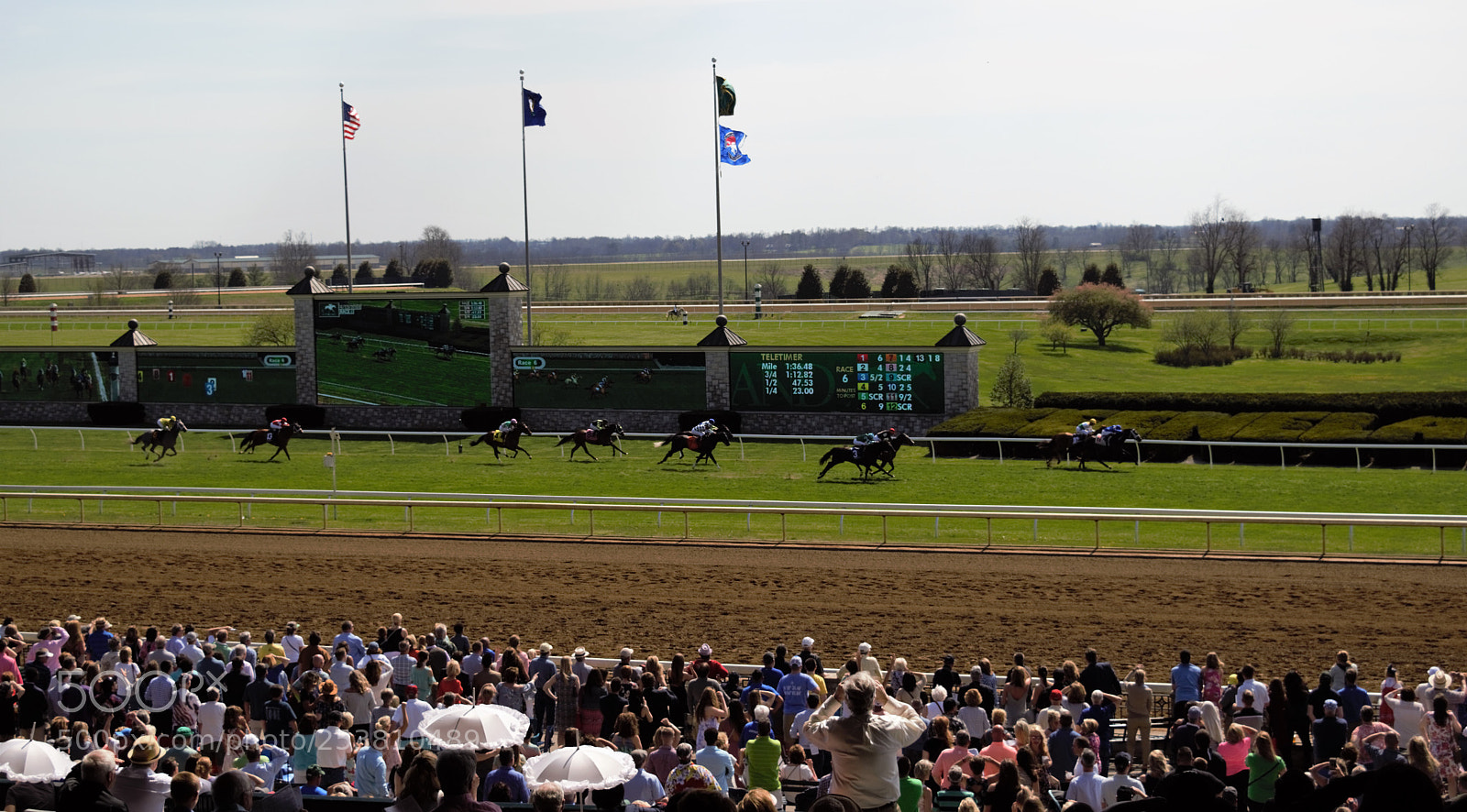Nikon D3300 sample photo. Keeneland races in lexington photography