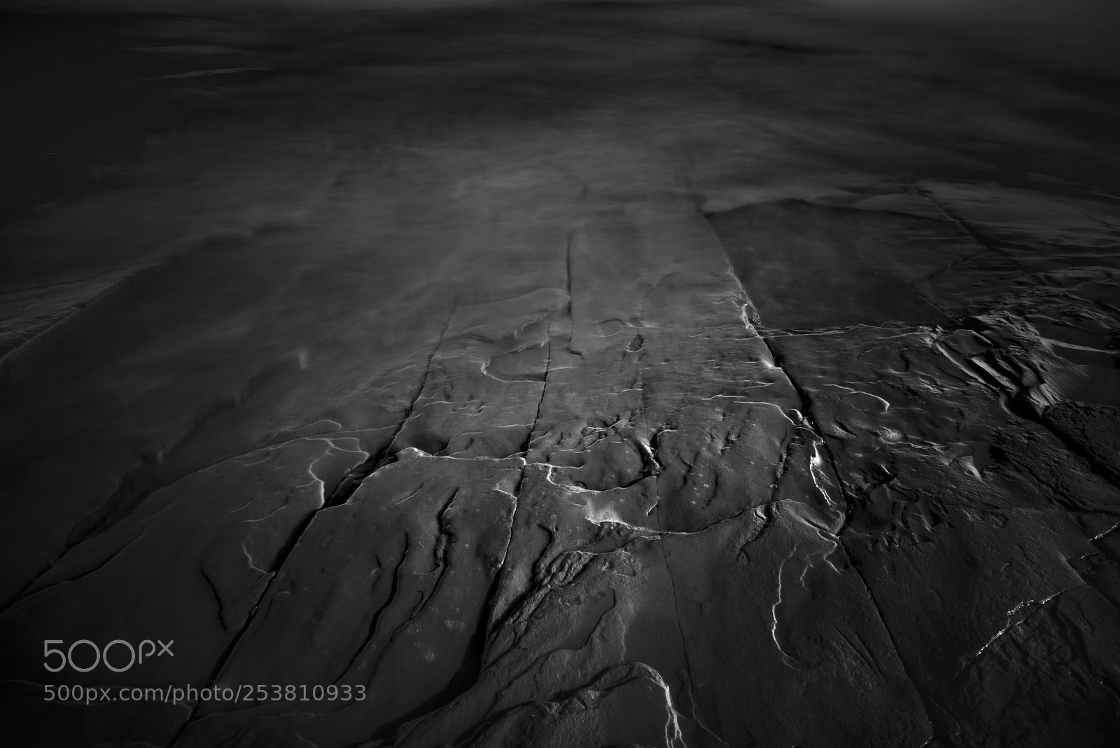 Nikon D610 sample photo. Sliding into the sea ... photography