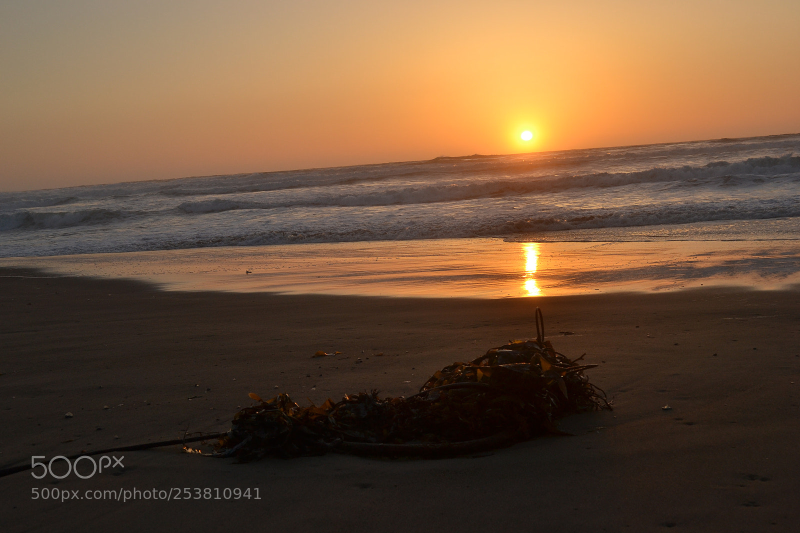 Nikon D3100 sample photo. Sodm photography