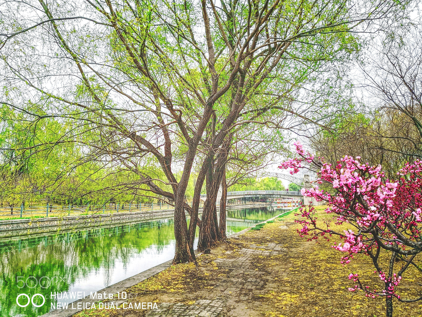 HUAWEI Mate 10 sample photo. 大城北京_桃红柳绿 photography