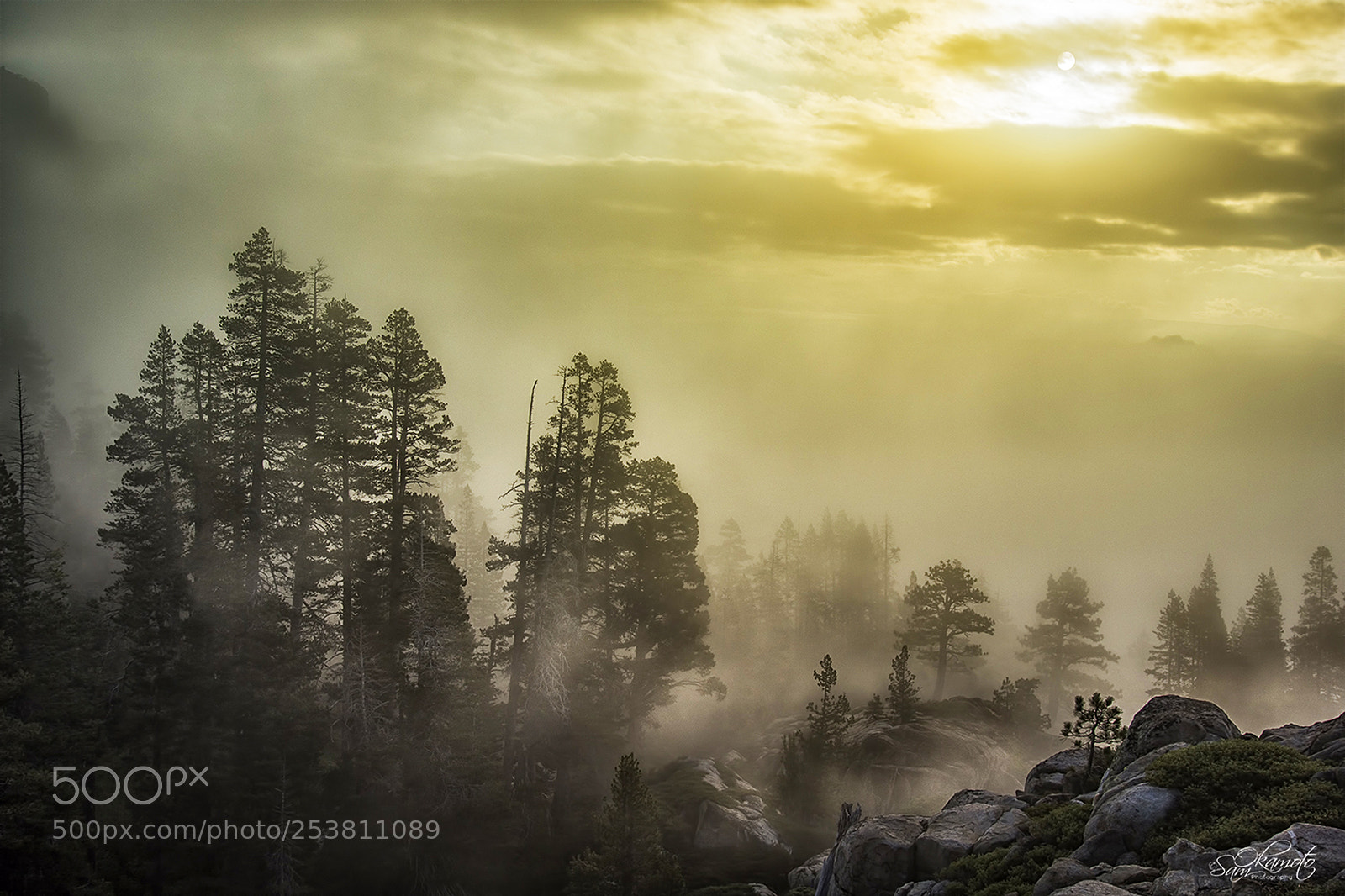 Nikon D7200 sample photo. Foggy at summit photography
