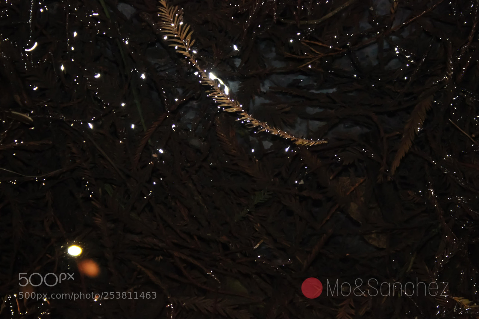 Canon EOS 600D (Rebel EOS T3i / EOS Kiss X5) sample photo. ¡¡luces!! photography