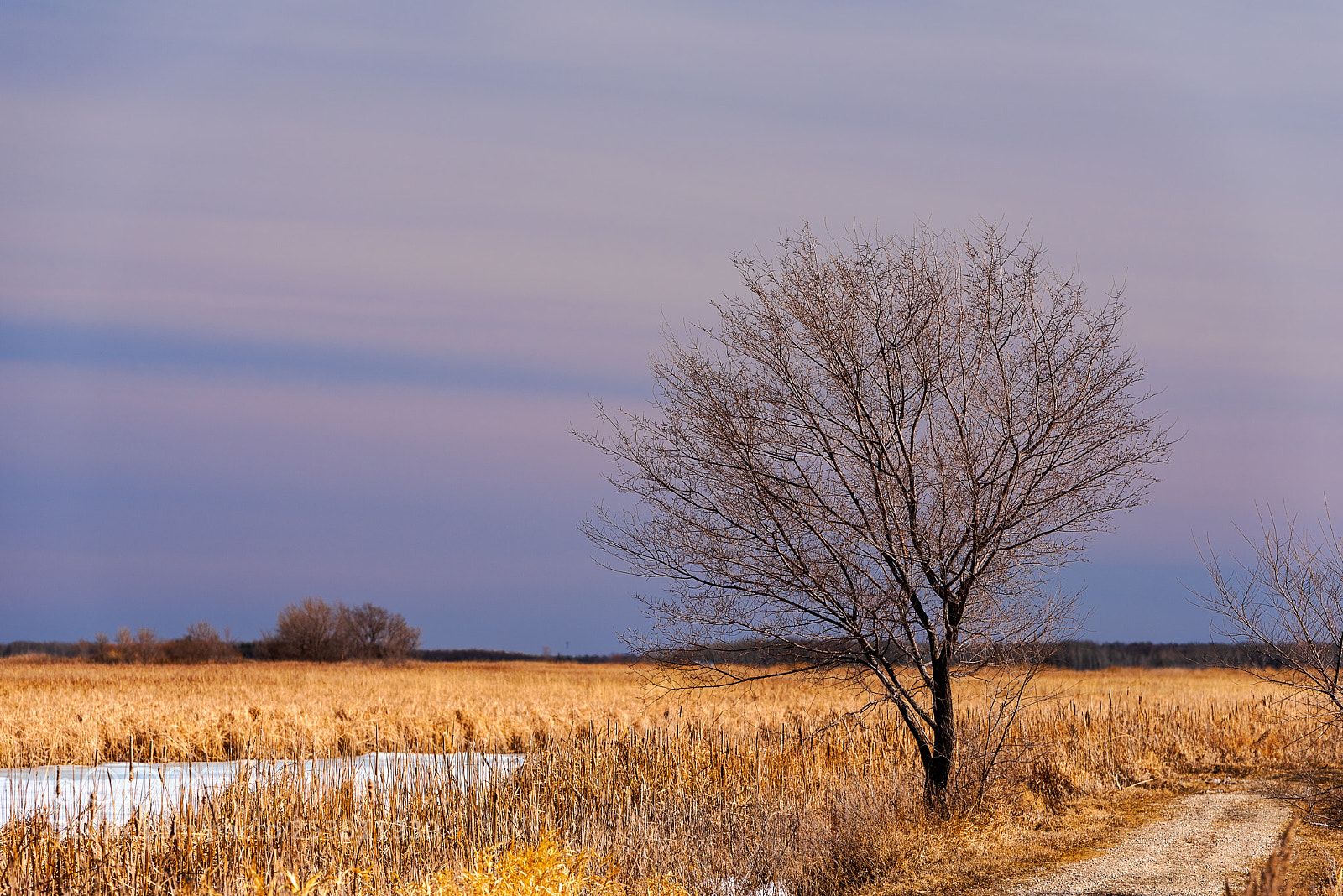 Nikon D810 sample photo. Oxygen photography