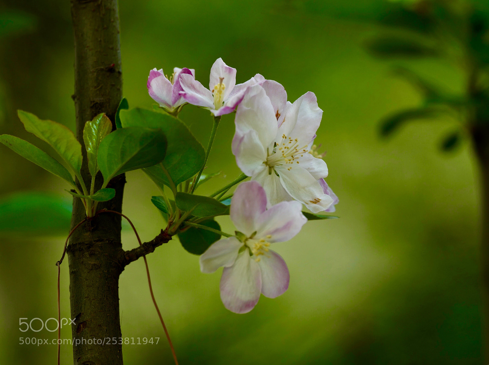 Leica SL (Typ 601) sample photo. Untitled photography