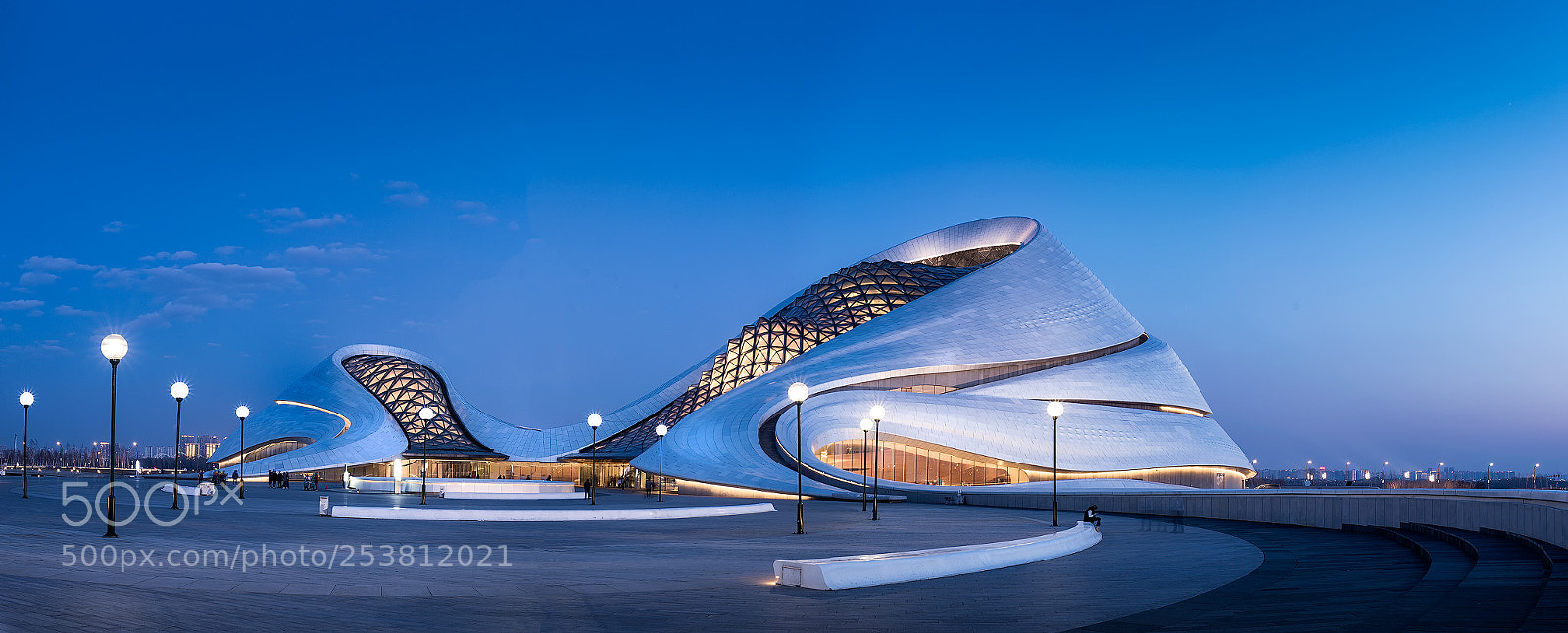 Nikon D610 sample photo. Harbin opera house photography