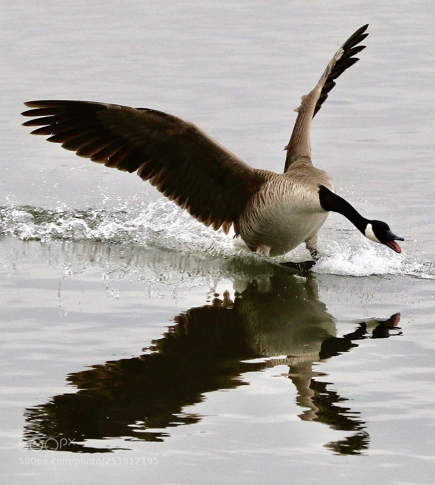 Canon EOS 7D Mark II sample photo. Reflection photography