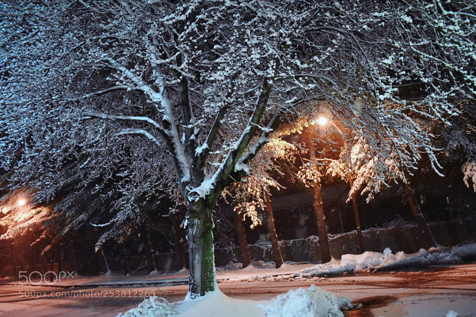 Nikon D3400 sample photo. Frozen darkness  photography