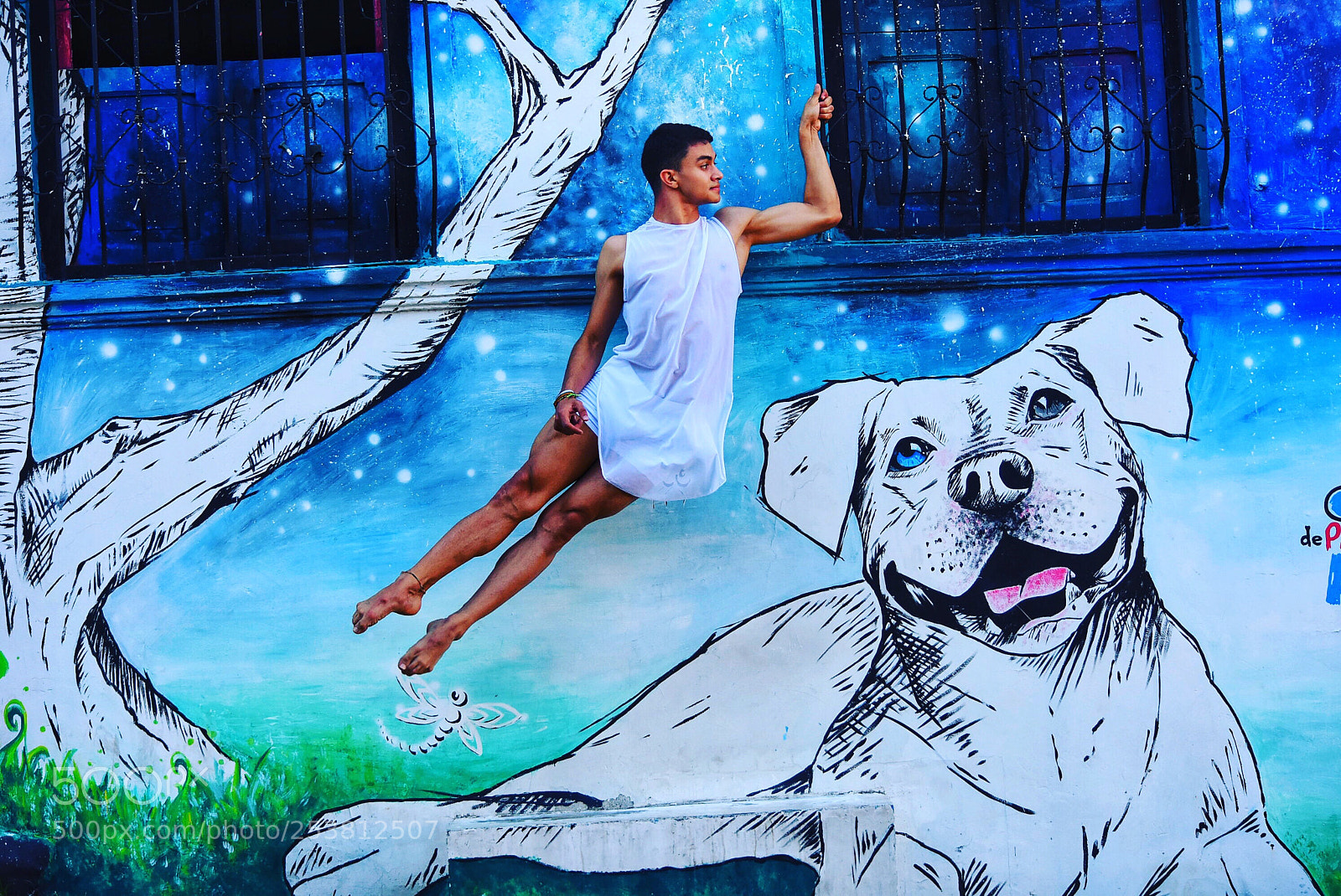 Nikon D7200 sample photo. Perro de ojo azul. photography