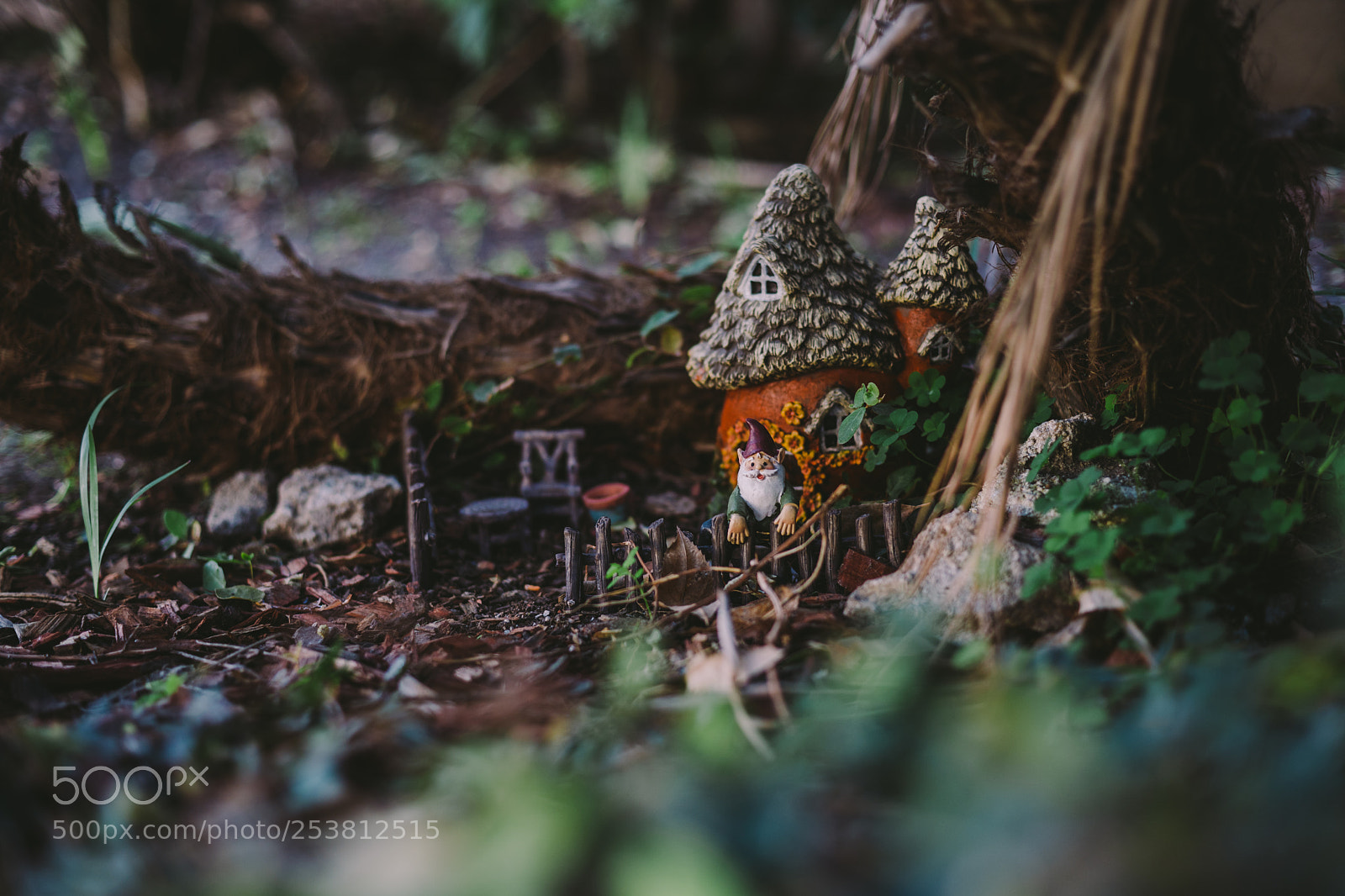 Sony a7 III sample photo. Gnome at home in photography
