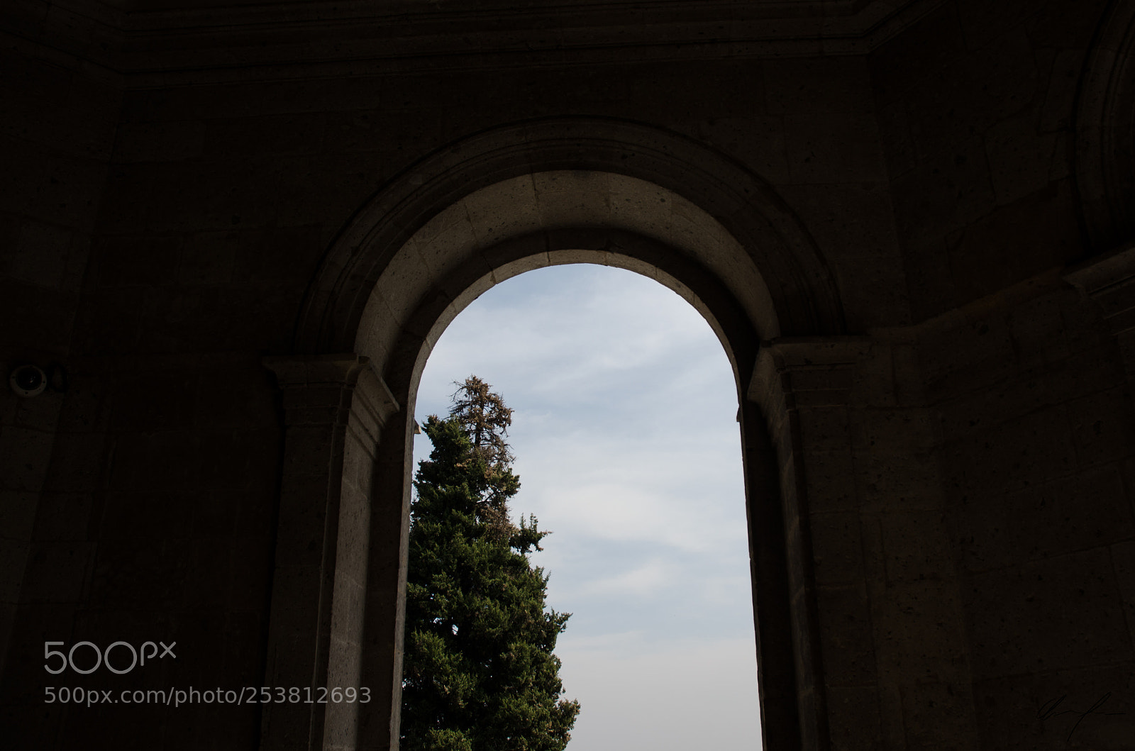 Nikon D5100 sample photo. A photography