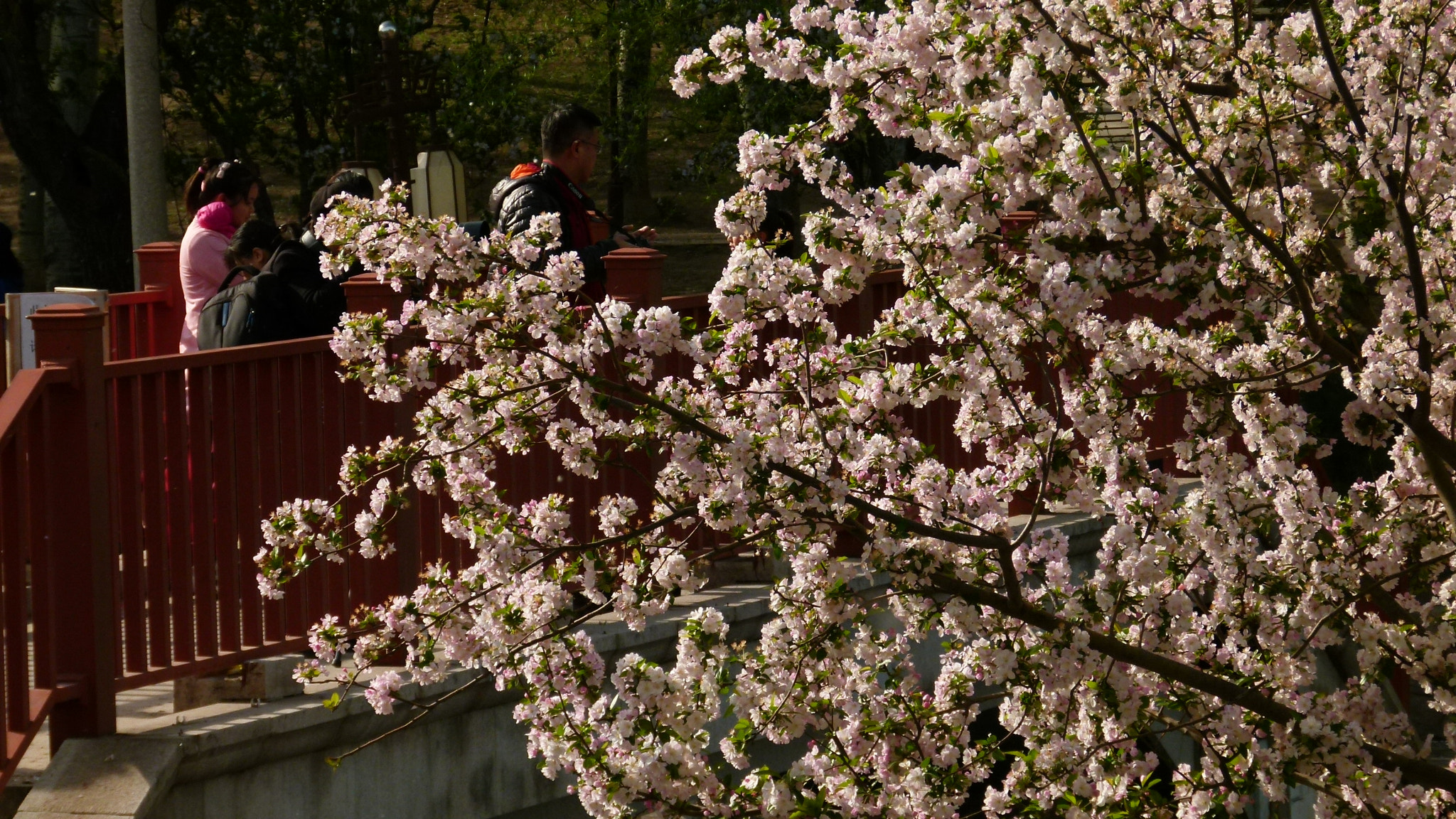 Leica V-Lux 2 sample photo