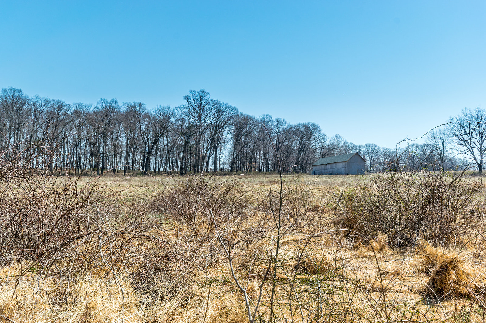Nikon D5300 sample photo. Natirar photography