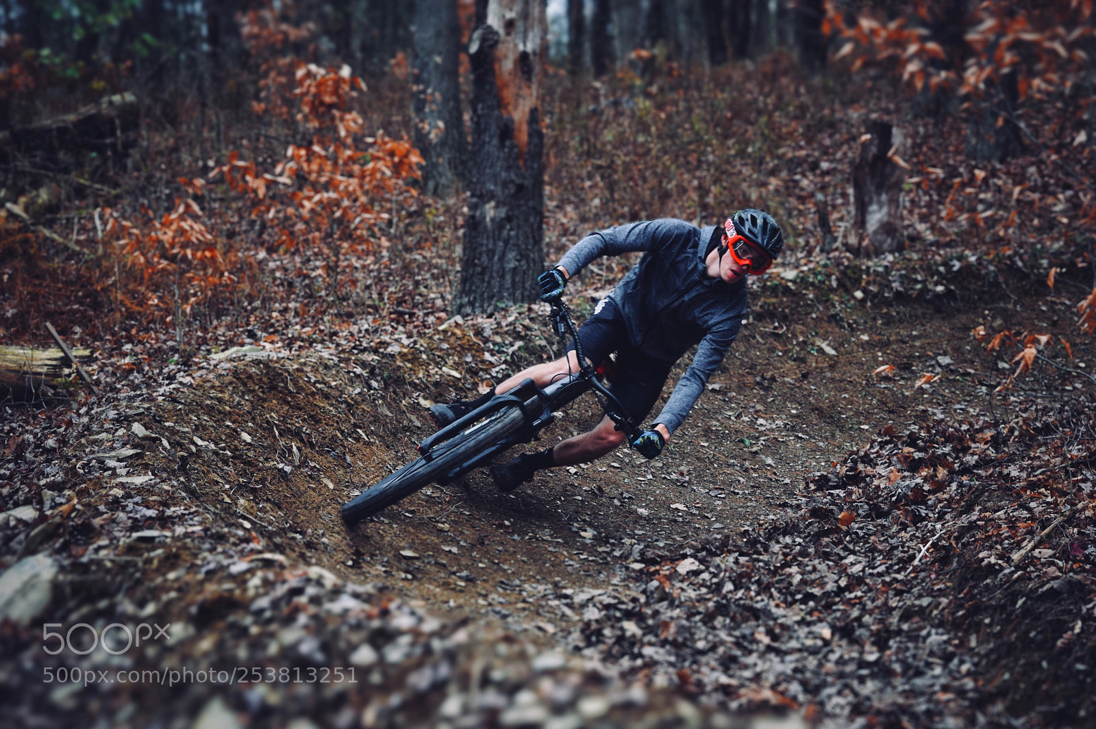Nikon D3300 sample photo. Leaning a berm photography