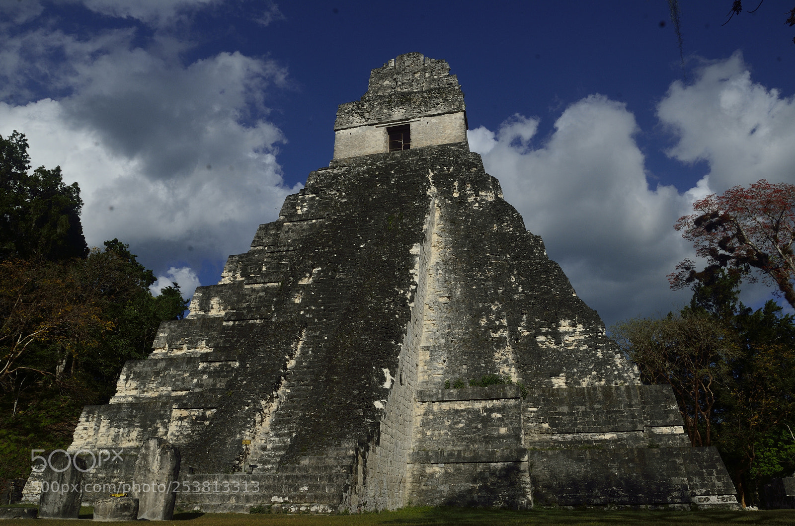 Nikon D7000 sample photo. Templo 1 de tikal photography
