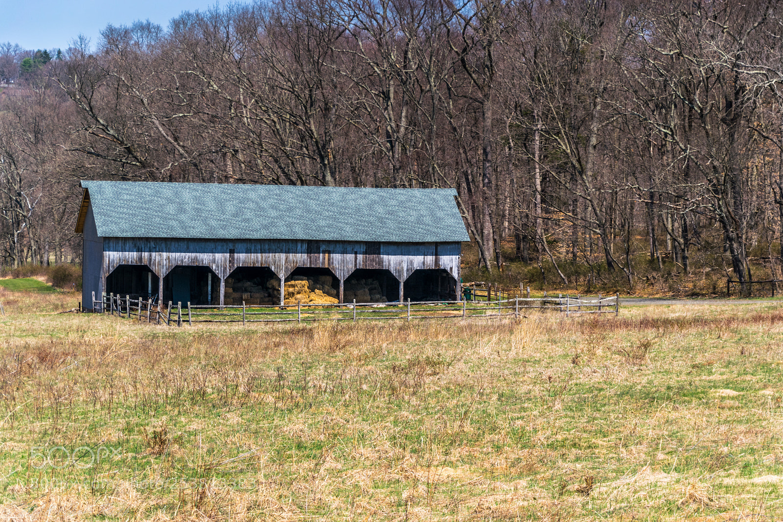 Nikon D5300 sample photo. Natirar photography