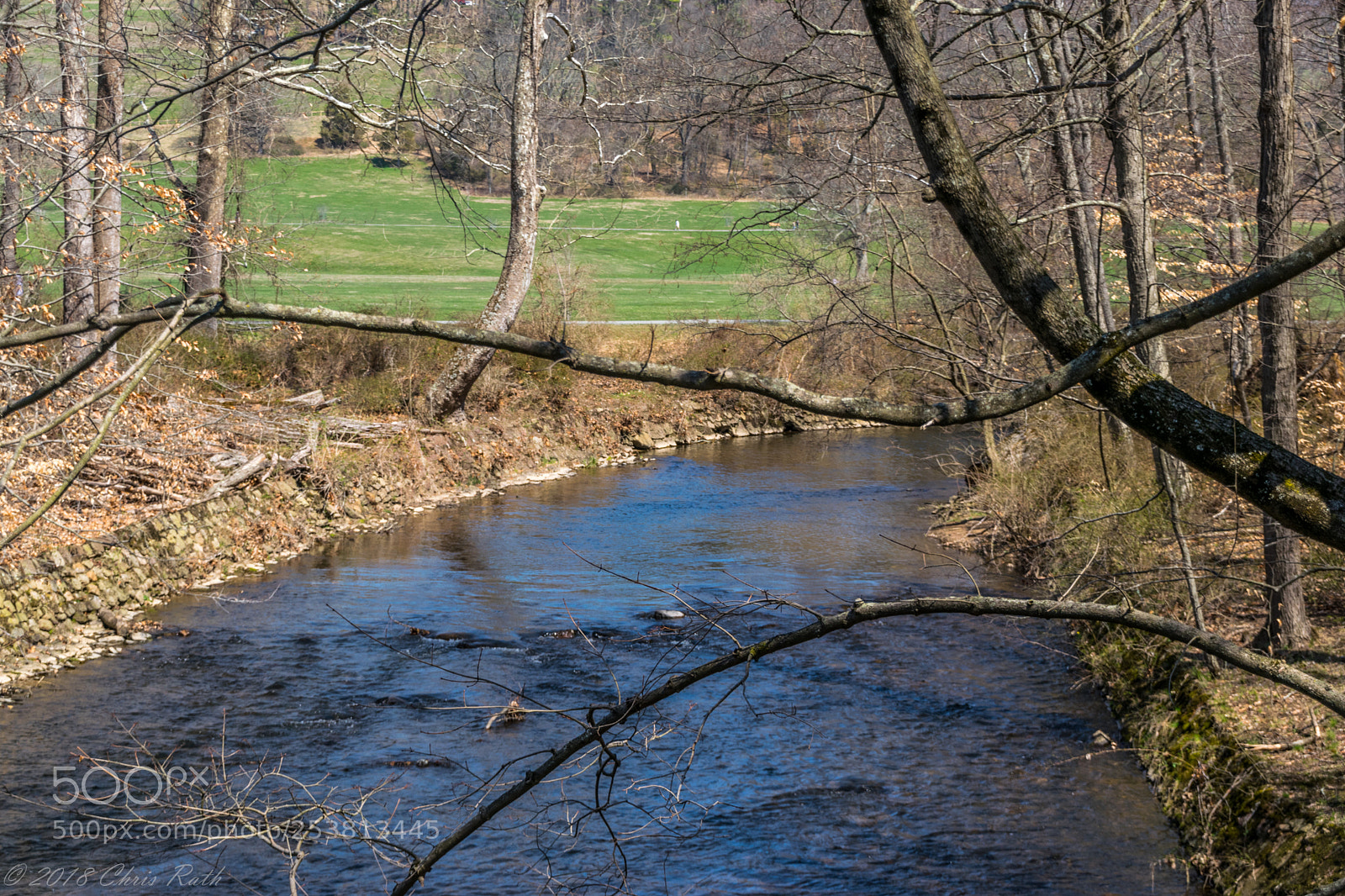Nikon D5300 sample photo. Natirar photography