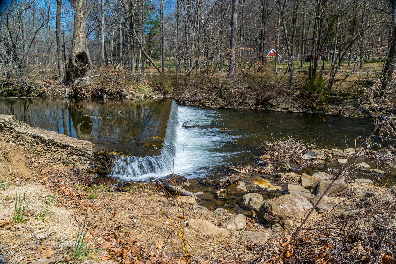Nikon D5300 sample photo. Natirar photography
