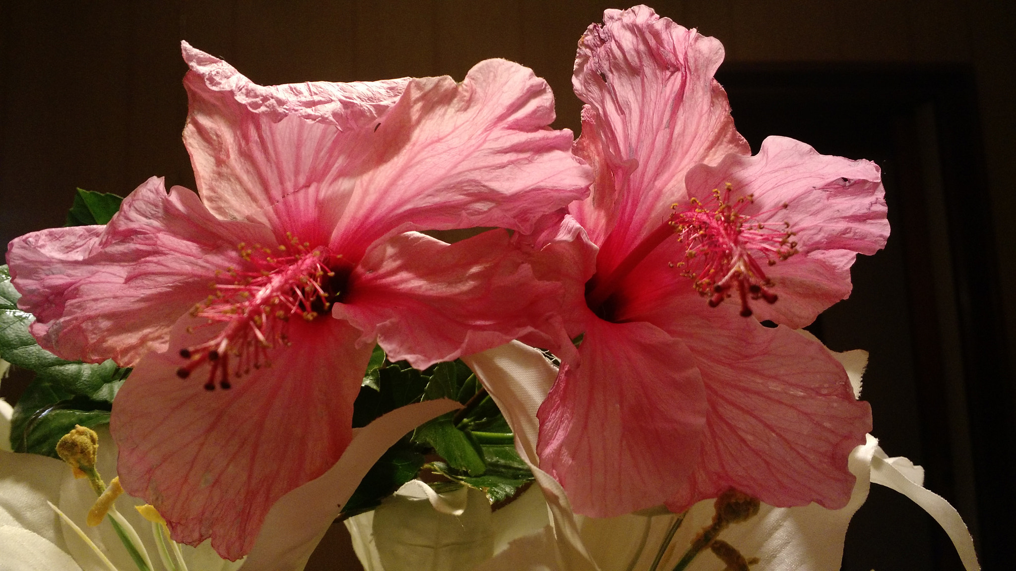 Motorola Moto X (2nd Gen) sample photo. A dreamed love photography