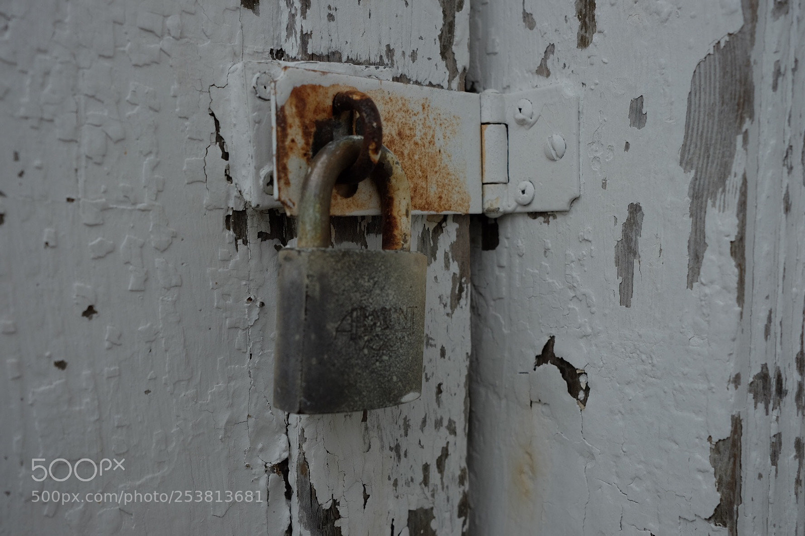 Fujifilm X-E2S sample photo. Untitled photography
